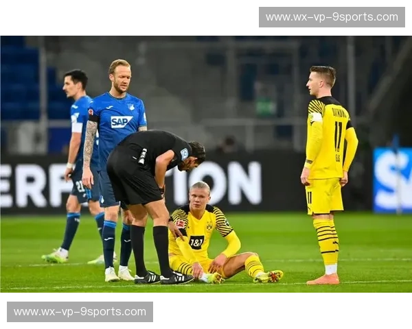 德甲冰与火之歌：当“乡村奇迹”霍芬海姆撞上“雄鹰”法兰克福的铁血狂澜