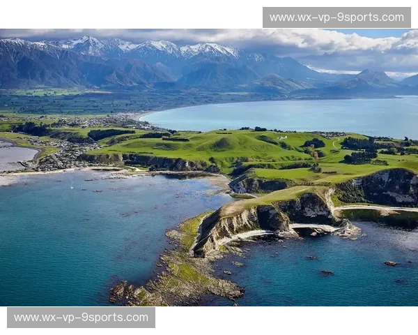 太平洋的两个巨人：美国与新西兰，一场跨越山海的绿色对话